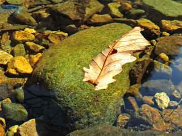 最準(zhǔn)一肖一碼一一中一特,系統(tǒng)化評(píng)估說明_標(biāo)配版80.584