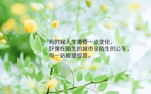 最新感悟語，探索人生新境界的啟示