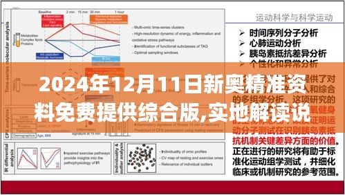 2024新奧正版資料最精準(zhǔn)免費(fèi)大全,平衡性策略實(shí)施指導(dǎo)_輕量版2.282