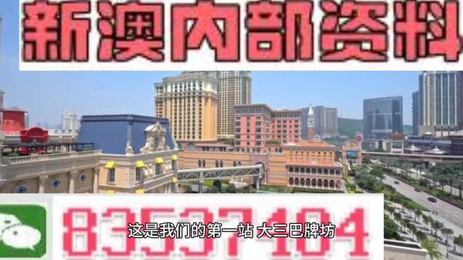 2024澳門精準(zhǔn)正版免費(fèi)｜決策資料解釋落實(shí)