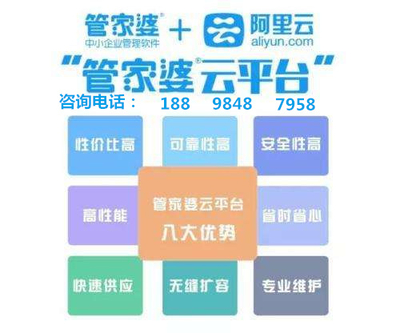 管家婆資料精準(zhǔn)一句真言,定性評估說明_Max42.598