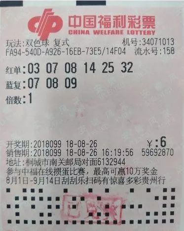 一碼一肖100%的資料,安全性計劃解析_10DM37.685