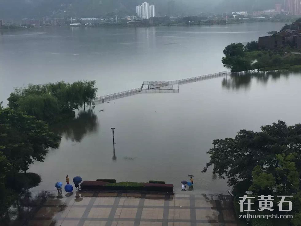 湖北黃石最新暴雨,湖北黃石最新暴雨，影響與應(yīng)對