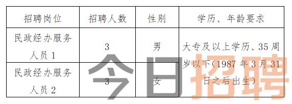 宏偉區(qū)民政局最新招聘信息詳解，職位、要求與相關內容一網打盡