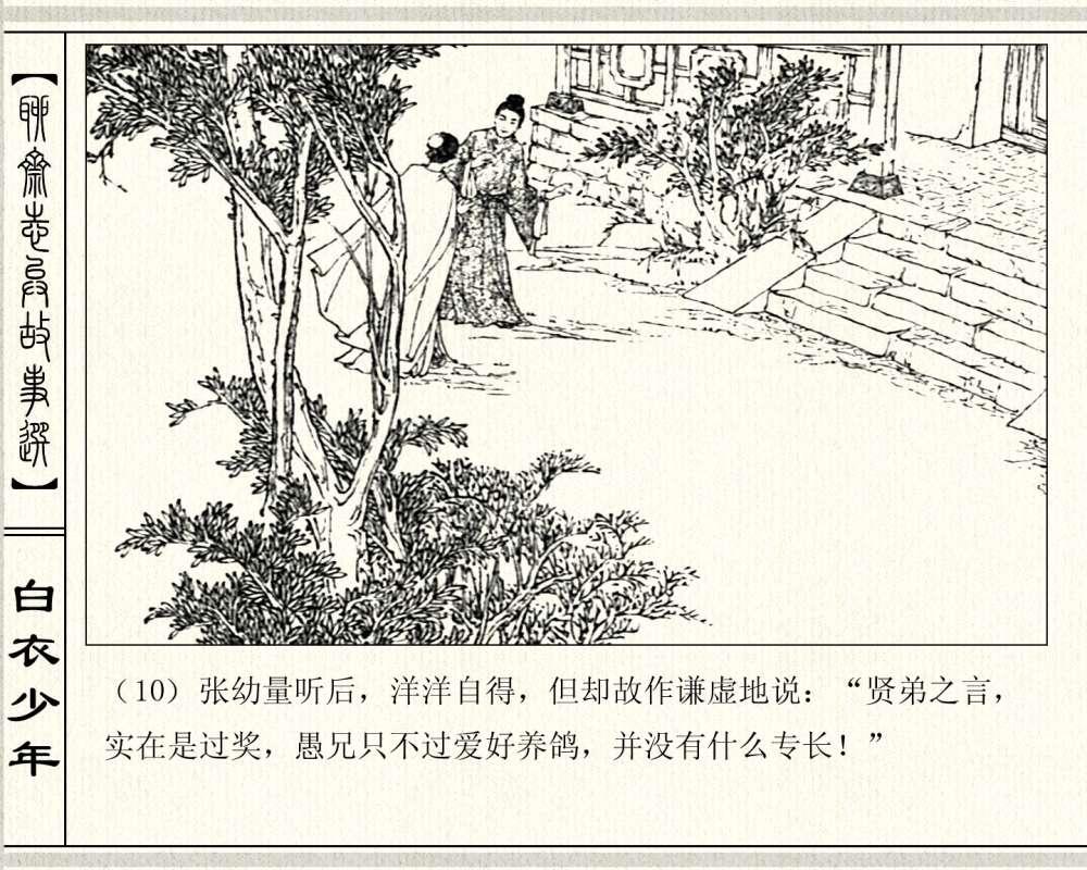 探索養(yǎng)鴿新境界，最新養(yǎng)鴿故事分享