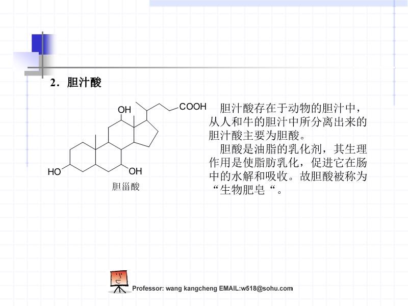 甾醇最新應(yīng)用領(lǐng)域的前沿進(jìn)展探索