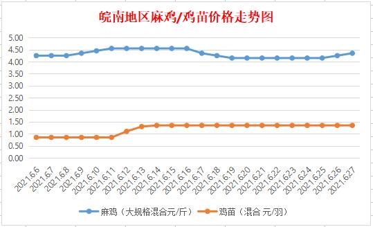 皖南麻雞最新行情